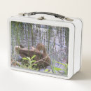 Search for photo lunch boxes Nature