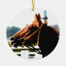 Search for thoroughbred horse christmas tree decorations Horses