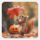 Search for maple leaf stickers Squirrel