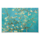 Search for almond tree posters Trees