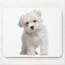 Search for maltese mousepads Puppies