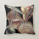 Search for sea life cushions Sand dollar