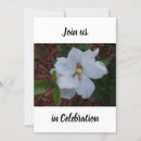 Search for close up invitations White