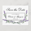 Search for lavender watercolor postcards Vintage