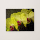 Search for orchid puzzles Bloom