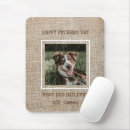 Search for dog mouse Puppy