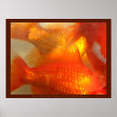Search for fishy art Fishes