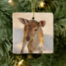 Search for fawn christmas tree decorations Wildlife