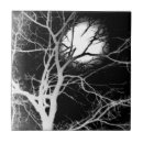 Search for moonlight tiles Night