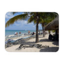 Search for mexico souvenir magnets Cozumel
