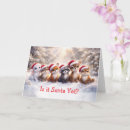 Search for cute fox christmas cards Deer