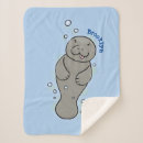 Search for manatee blankets Ocean