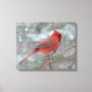 Search for red cardinal bird canvas prints Winter