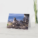 Search for mom and dad cards Bird