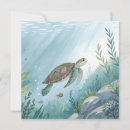 Search for sea world invitations Dolphin