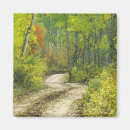 Search for aspen magnets Autumn