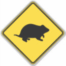 Search for hamster pet stickers Animal