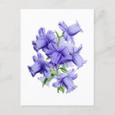 Search for bell shape postcards Antique