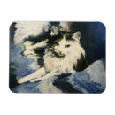 Search for hairs magnets Cats