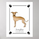 Search for greyhounds posters Iggy