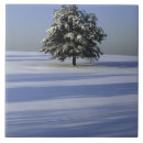 Search for snow tiles Scenic