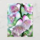 Search for purple green postcards Flowers