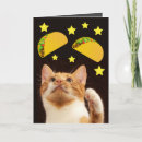 Search for space cat cards Cats