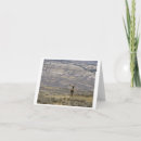 Search for wildlife photography cards Elk