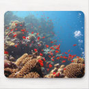 Search for coral reef mousepads Fish