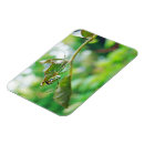 Search for orchard magnets Animal
