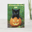Search for pet halloween cards Kitten
