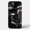 Search for horse ipad cases Photography