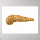 Search for conceptual posters Cutout