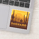 Search for saguaro cactus stickers Saguaro national park