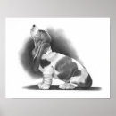 Search for hush posters Basset hound