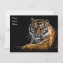 Search for animal print birthday cards Safari