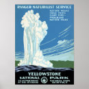 Search for naturalist posters Yellowstone