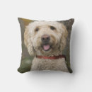 Search for new england cushions Massachusetts