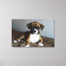 Search for close up canvas prints Pets