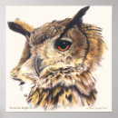 Search for ornithological posters Bird