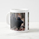 Search for young adults mugs National park