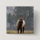 Search for bugle accessories Bugling
