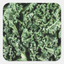 Search for kale stickers Healthy