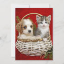 Search for puppy christmas cards Pets