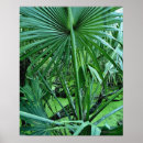 Search for tropical plants posters Nature