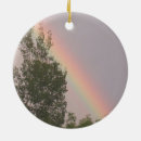 Search for skies christmas tree decorations Nature
