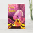 Search for pansies birthday cards Pansy