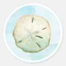 Search for sand dollar stickers Summer
