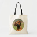 Search for rhodesian accessories Pets