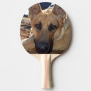 Search for alsatian Young
